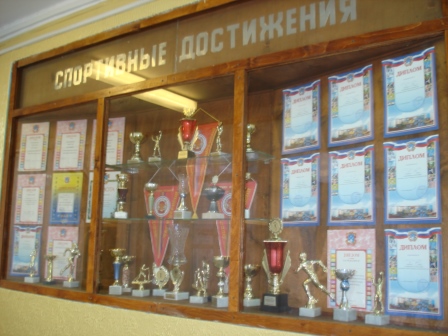 Спортивные достижения